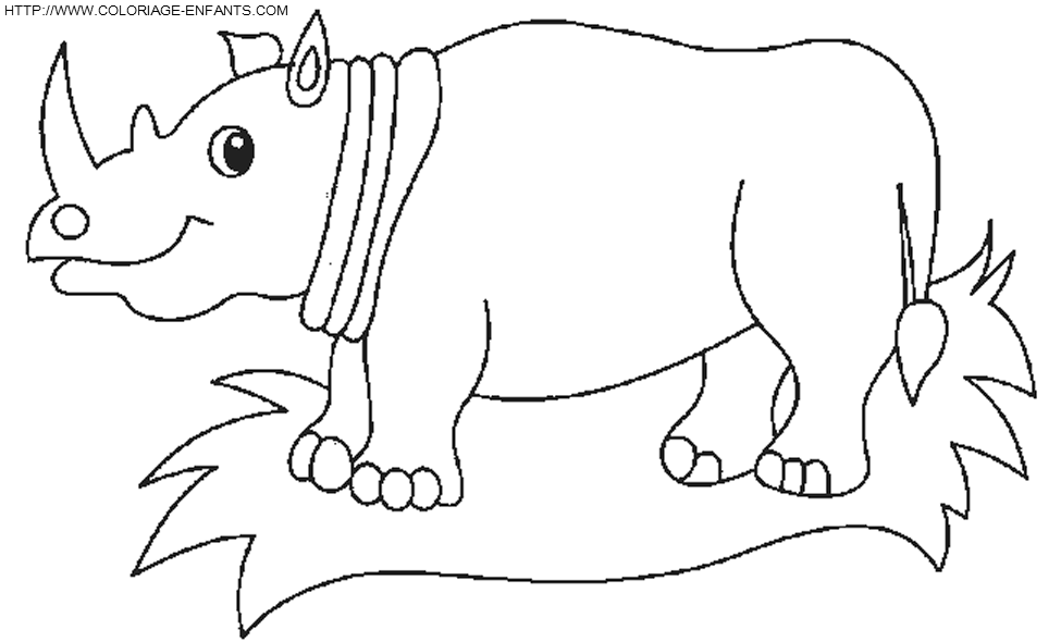 Rhinoceros coloring