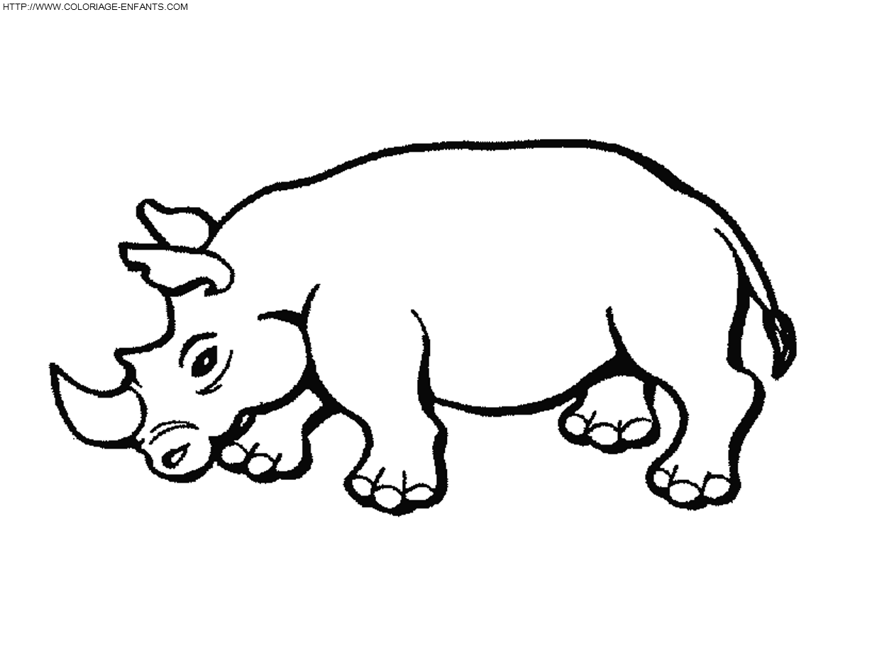 Rhinoceros coloring