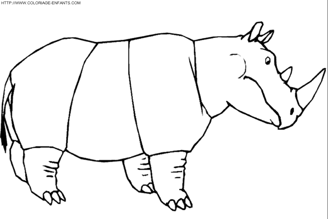 Rhinoceros coloring