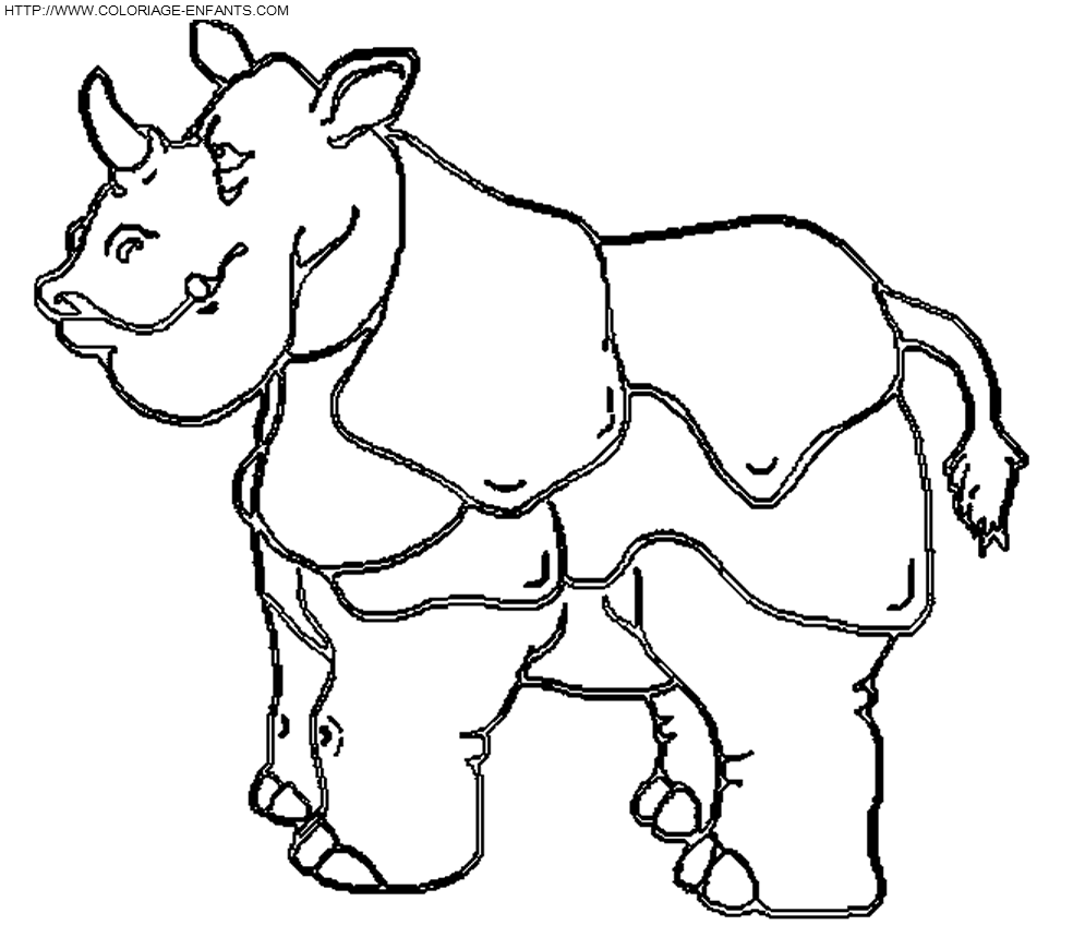 Rhinoceros coloring