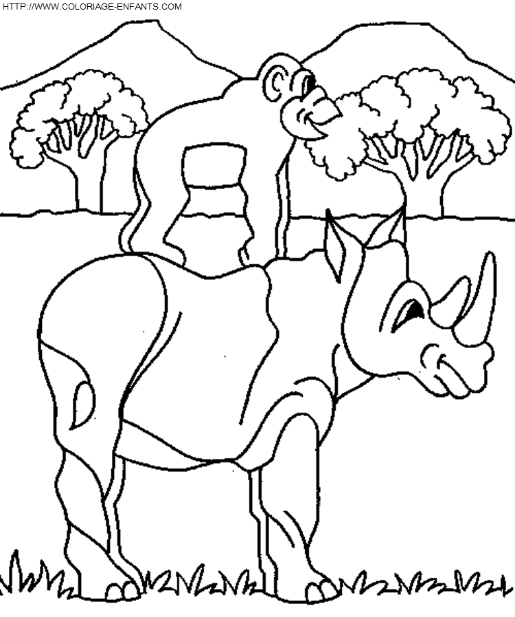 Rhinoceros coloring