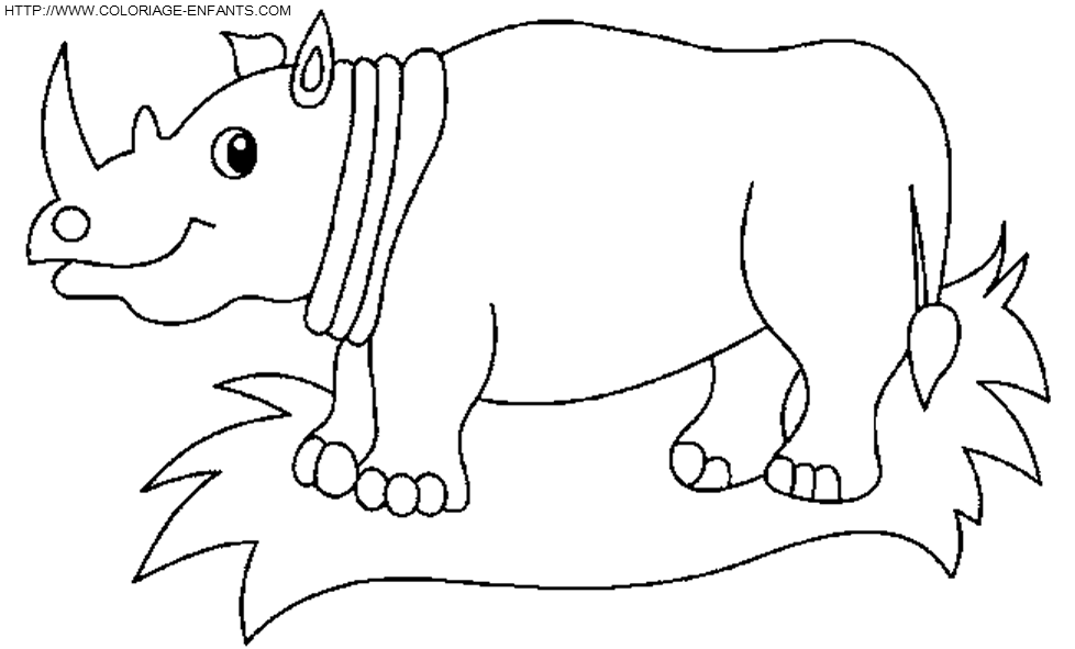 Rhinoceros coloring