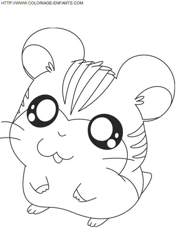 Hamtaro coloring