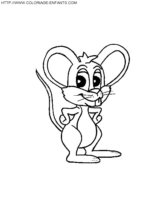 Mouse coloring