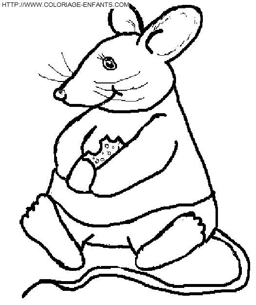 Mouse coloring