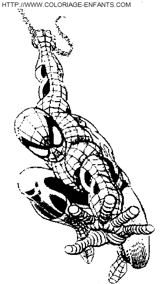 Spiderman coloring