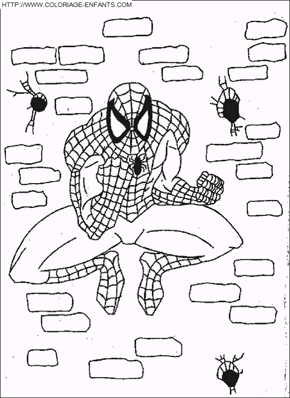 Spiderman coloring