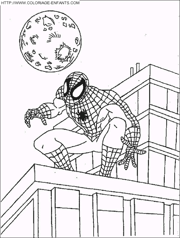 Spiderman coloring