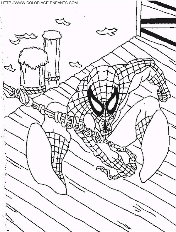 Spiderman coloring