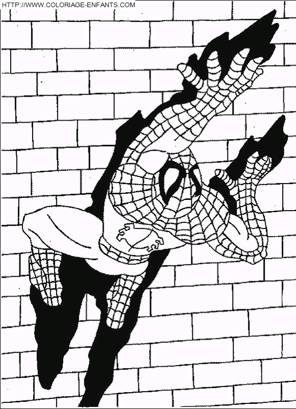 Spiderman coloring