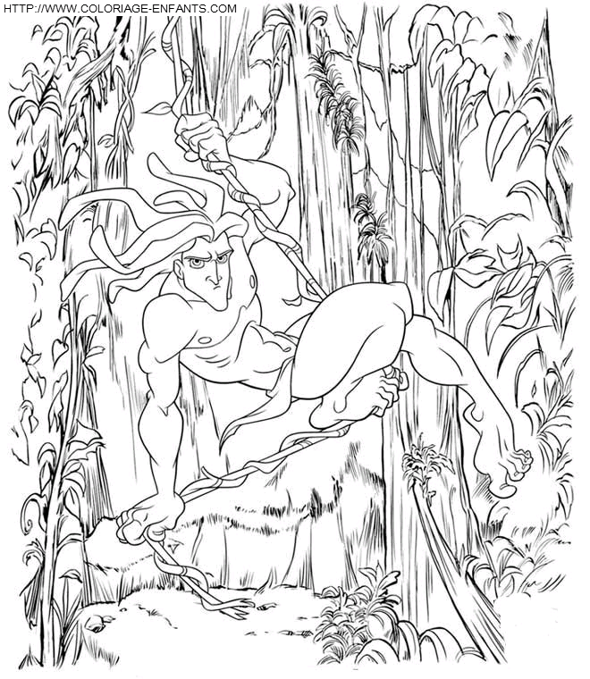 Tarzan coloring