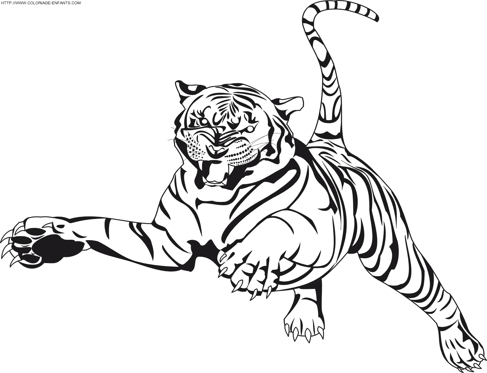 Tiger coloring