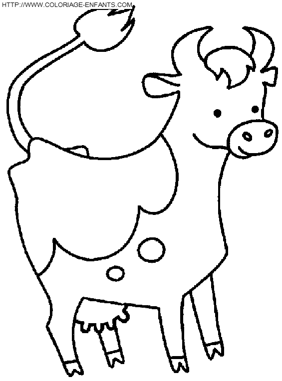 Cows coloring