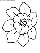 flower coloring