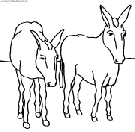 donkeys coloring