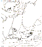 zoo coloring