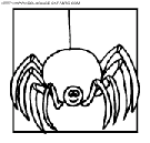 spiders coloring