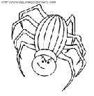 spiders coloring