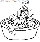 bath coloring