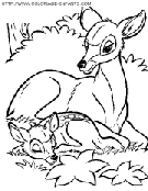 bambi2 coloring