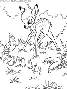 bambi2 coloring