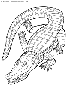  crocodiles coloring book pages