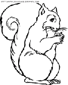  squirrels coloring book pages