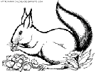 squirrels coloring book pages