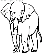 elephants coloring