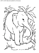 elephants coloring