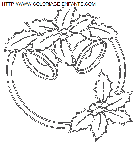 christmas mistletoe coloring