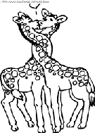 giraffes coloring