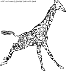 giraffes coloring