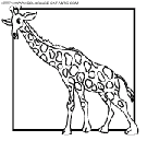 giraffes coloring book pages