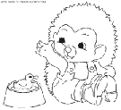 porcupines coloring