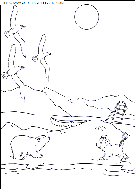 little polar bear coloring