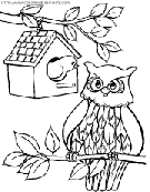 owls coloring