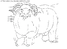 sheep coloring