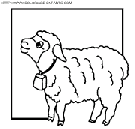 sheep coloring