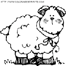 sheep coloring