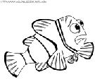 nemo coloring