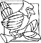  birds coloring book pages