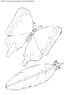  butterflies coloring book pages