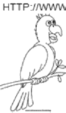 parrots coloring book pages