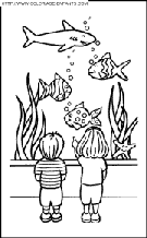 fish coloring