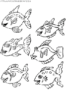 fish coloring