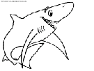 shark coloring