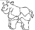 rhinoceros coloring