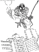 spiderman coloring