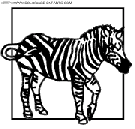 zebras coloring